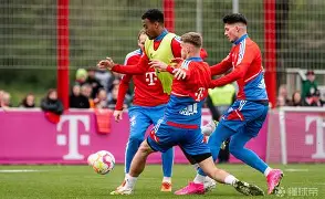 拜仁慕尼黑发布备战花絮；冲刺阶段扳平良机；法国杯任务艰巨；轮换策略成焦点的简单介绍-开云入口